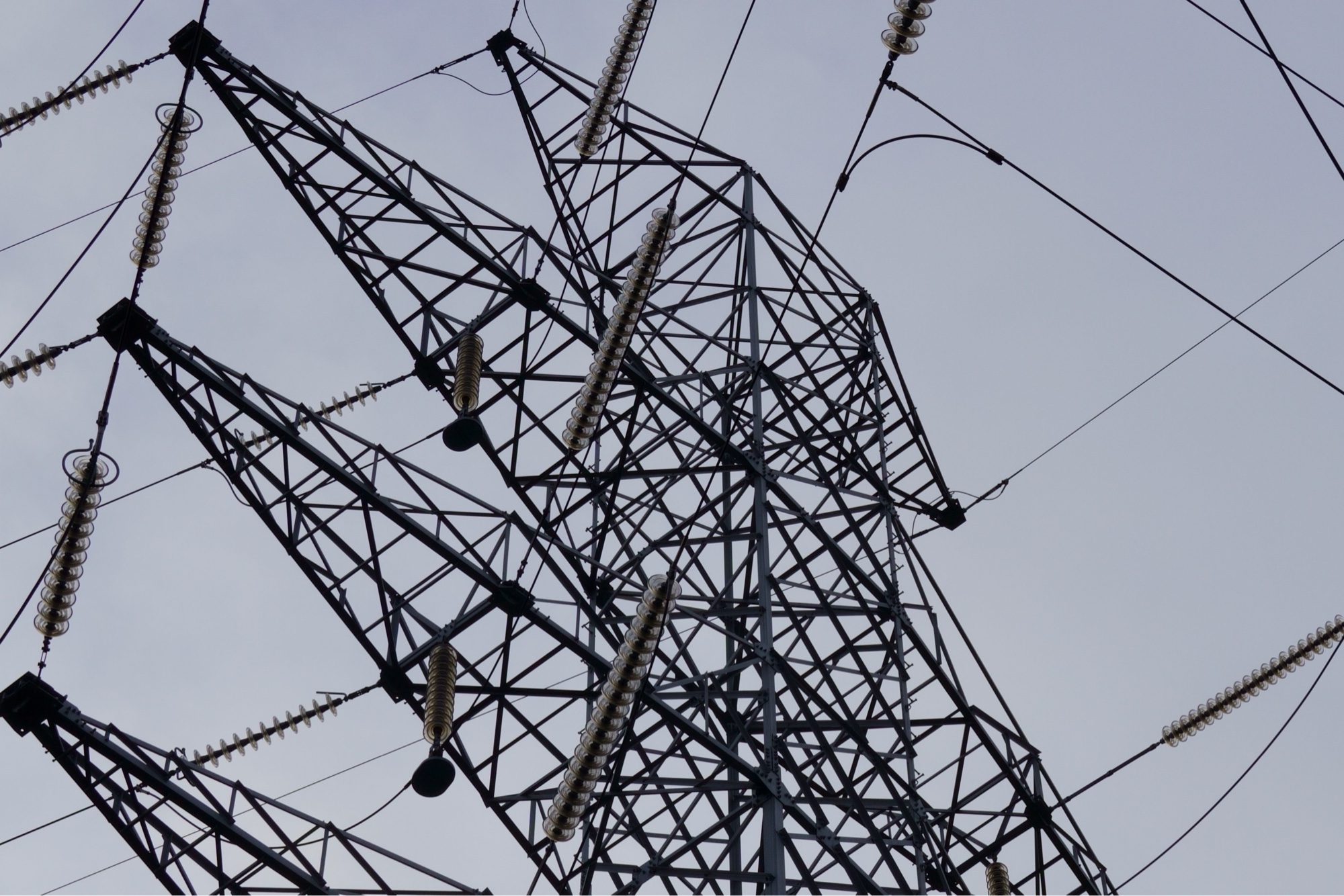 Germany's Grid Under Siege by Climate Vigilante