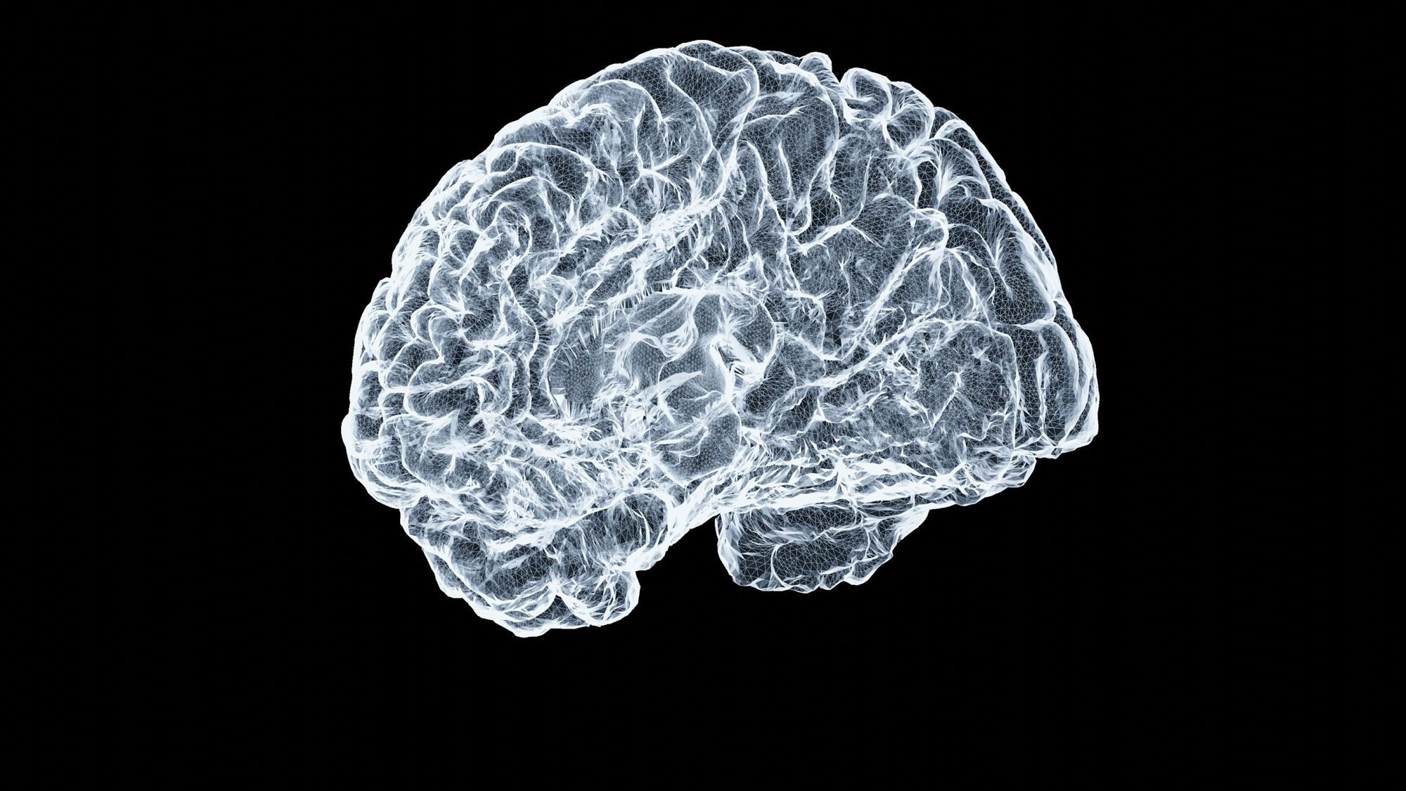 Your Brain Is Already Running Tomorrow's AI