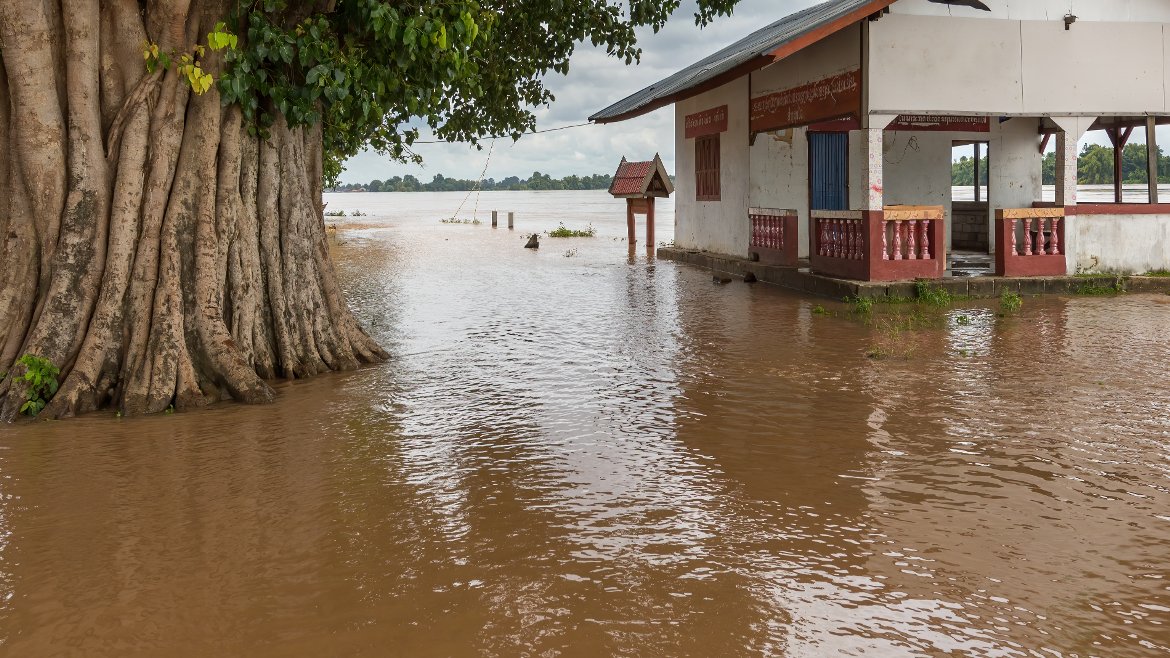 India's Floods: Climate Crisis Drowns Marginalized Communities