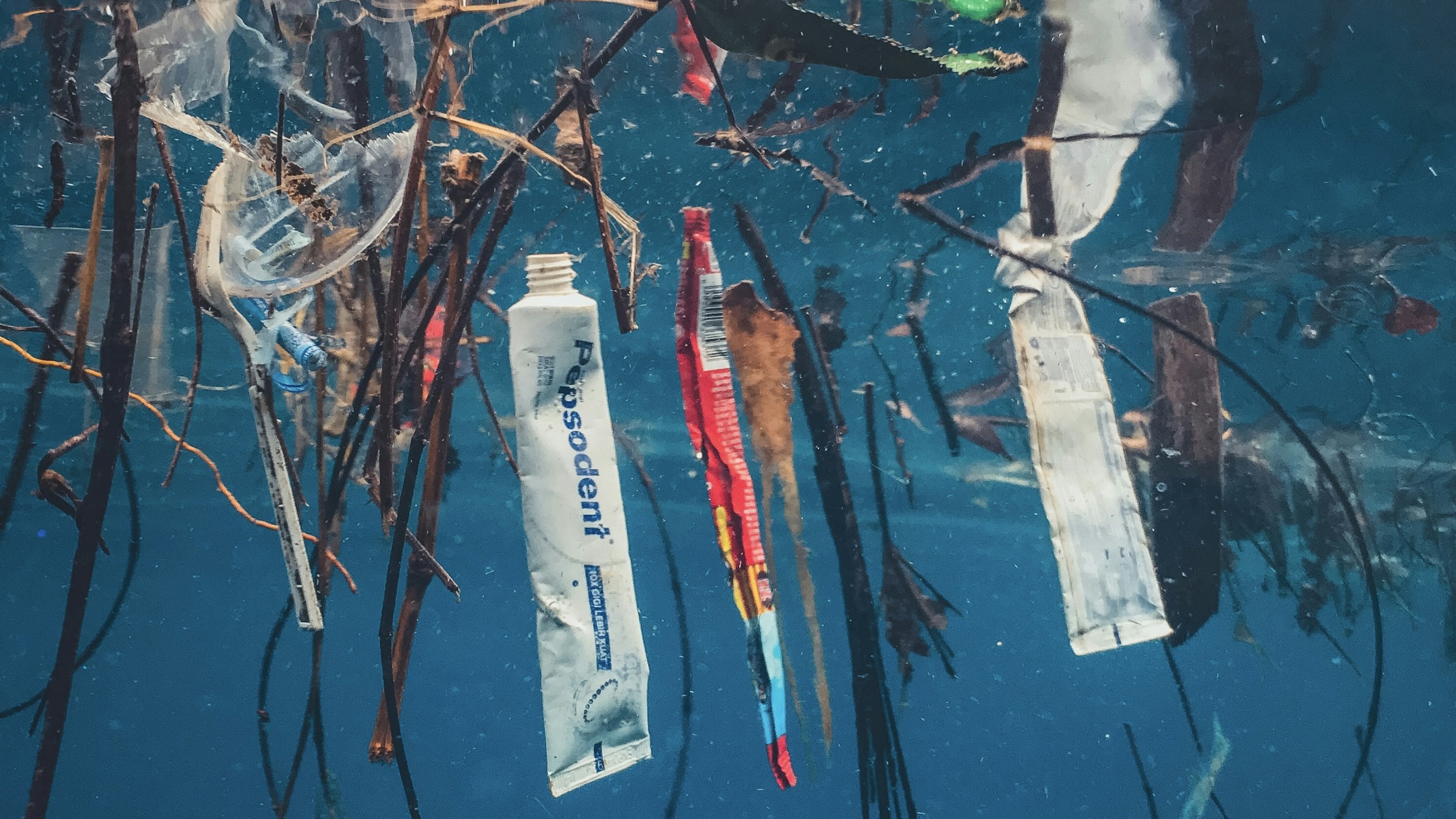 Ocean's Plastic Crisis: Nanoplastics Invade Our Bodies