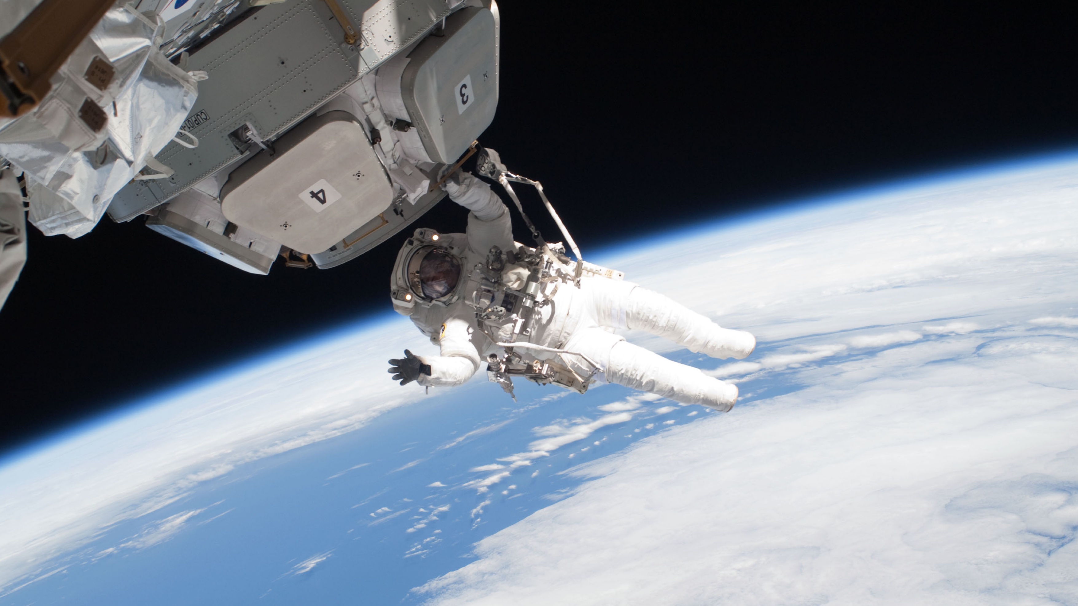 Zero Gravity, Zero Fertility: Sperm's Space Struggles