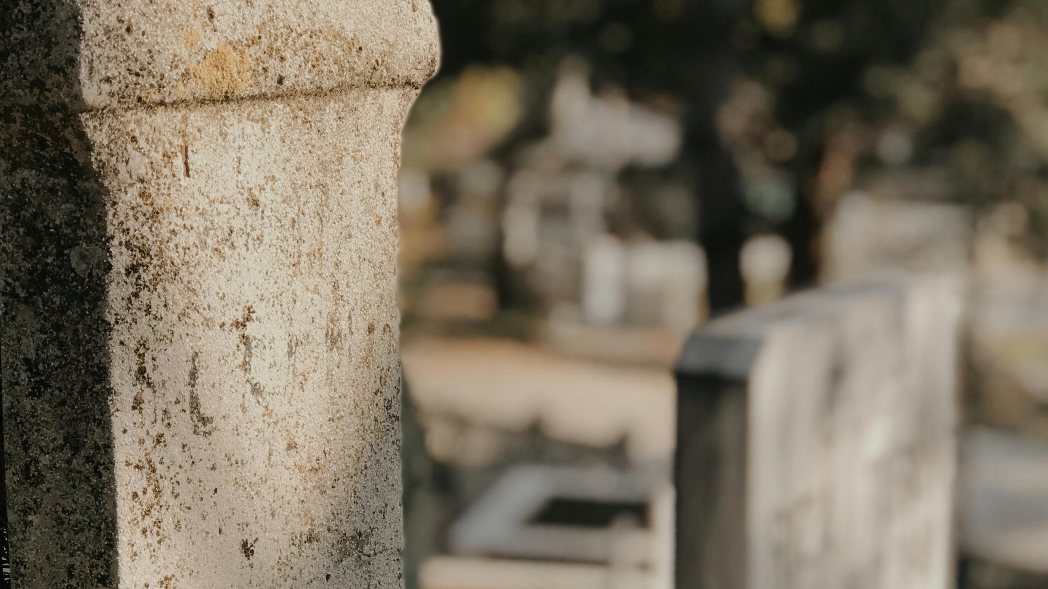 Unmarked Graves Expose Dark Past of Maryland's Juvenile Detention Center