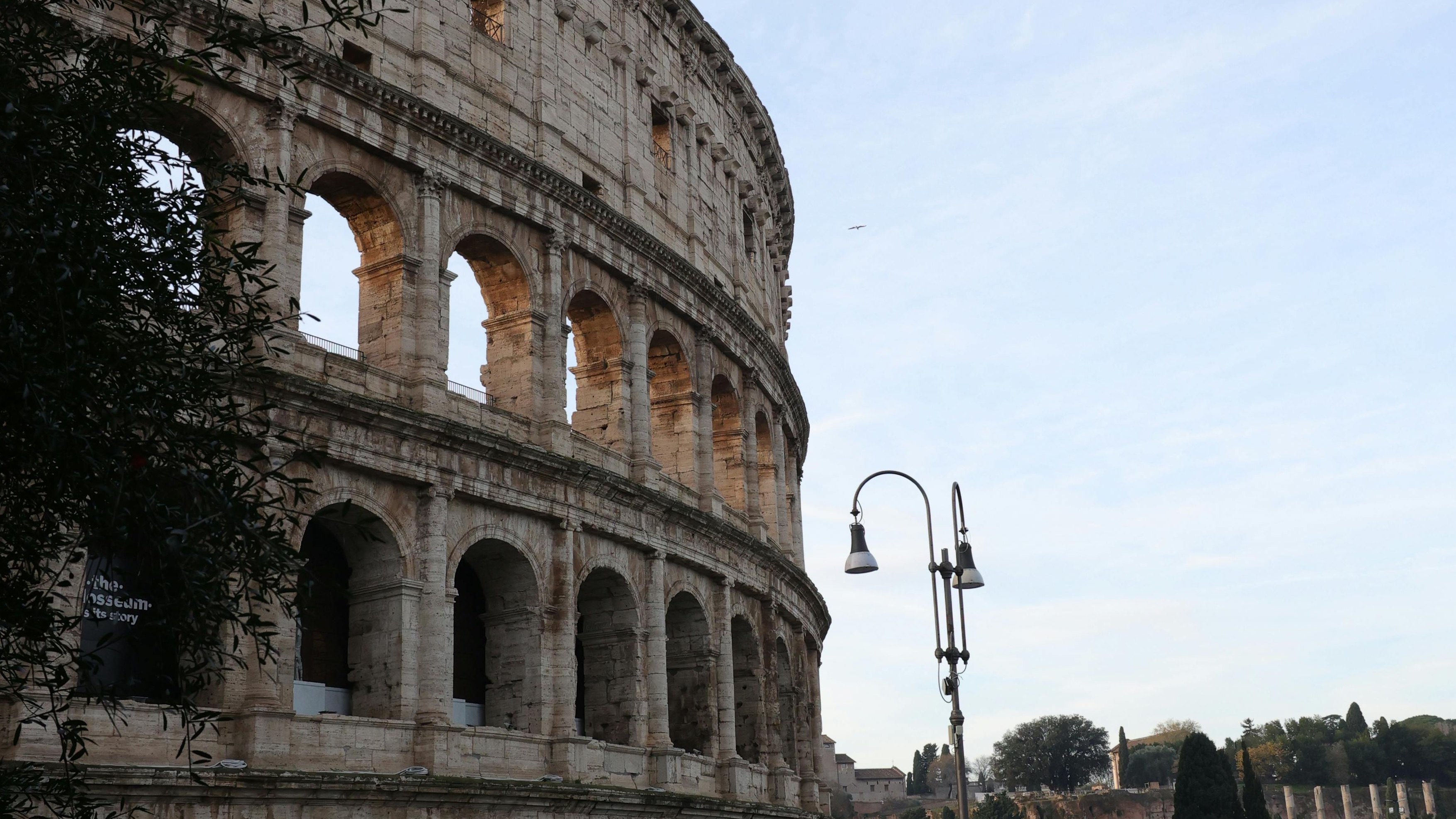 Rome's Lost Aphrodisiac: The Silphium Saga