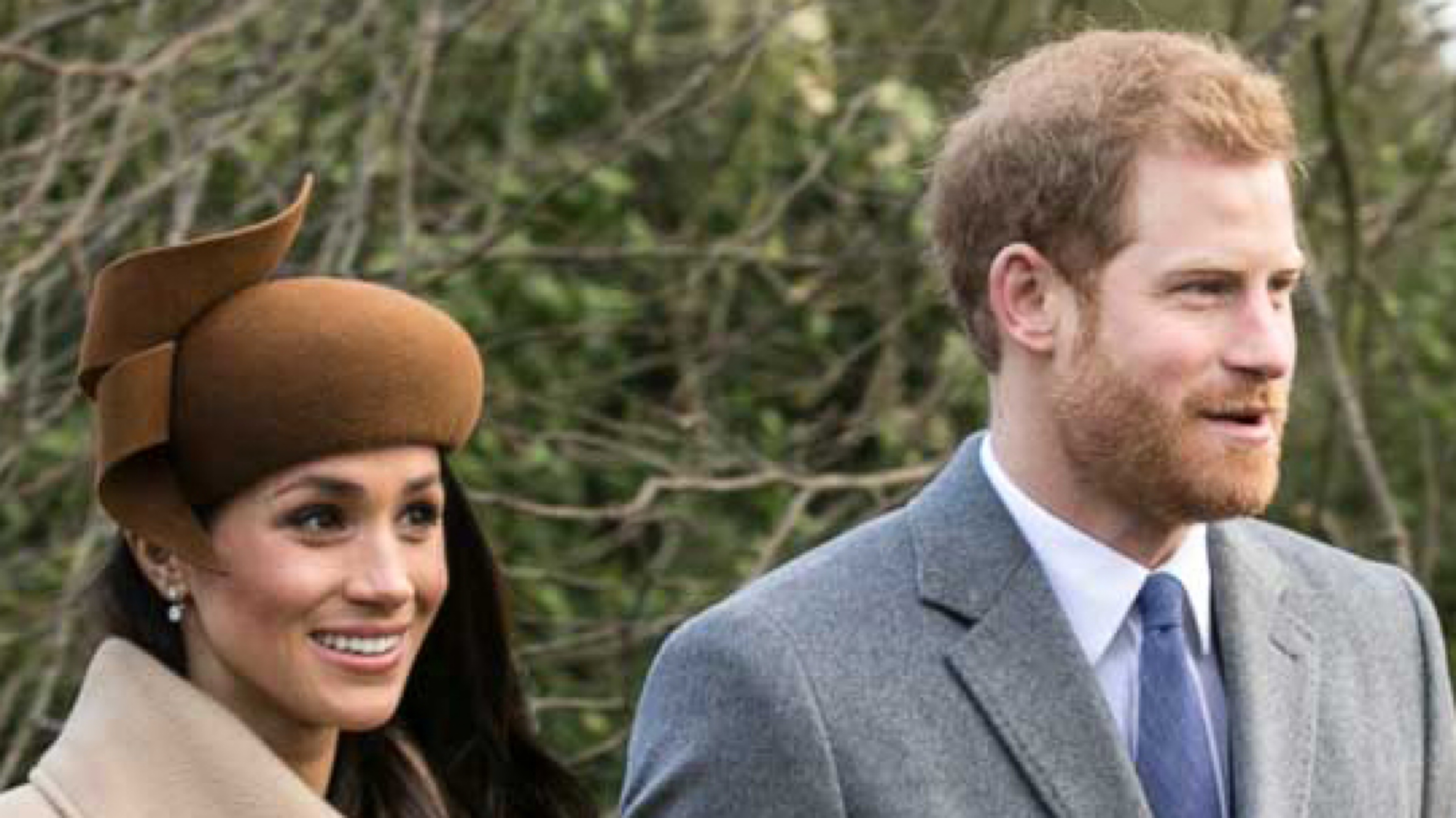 Prince Harry's Charity Sues Him for Defamation