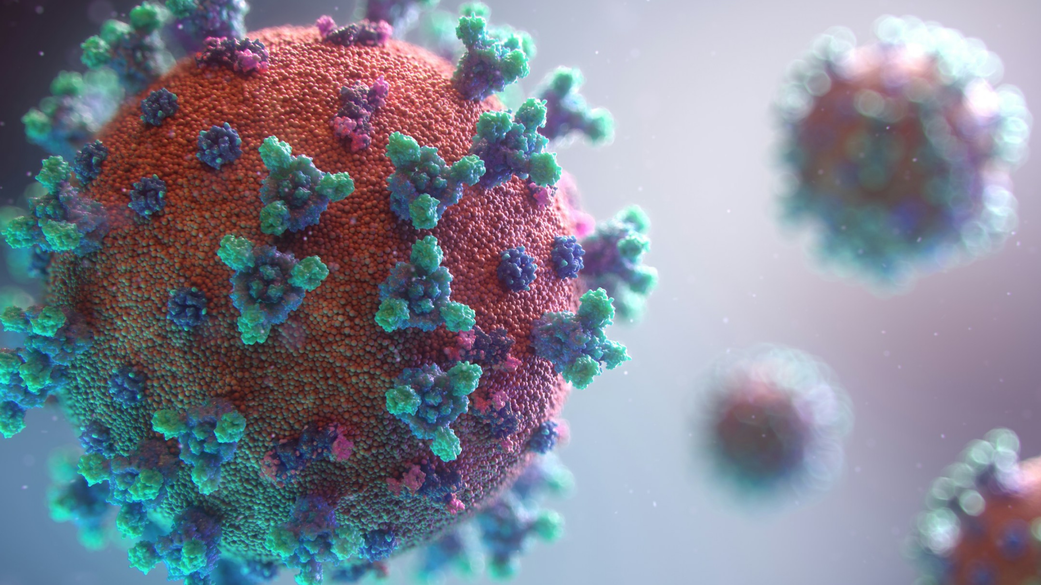 Bangladesh Measles Crisis Claims 11 Kids in One Day