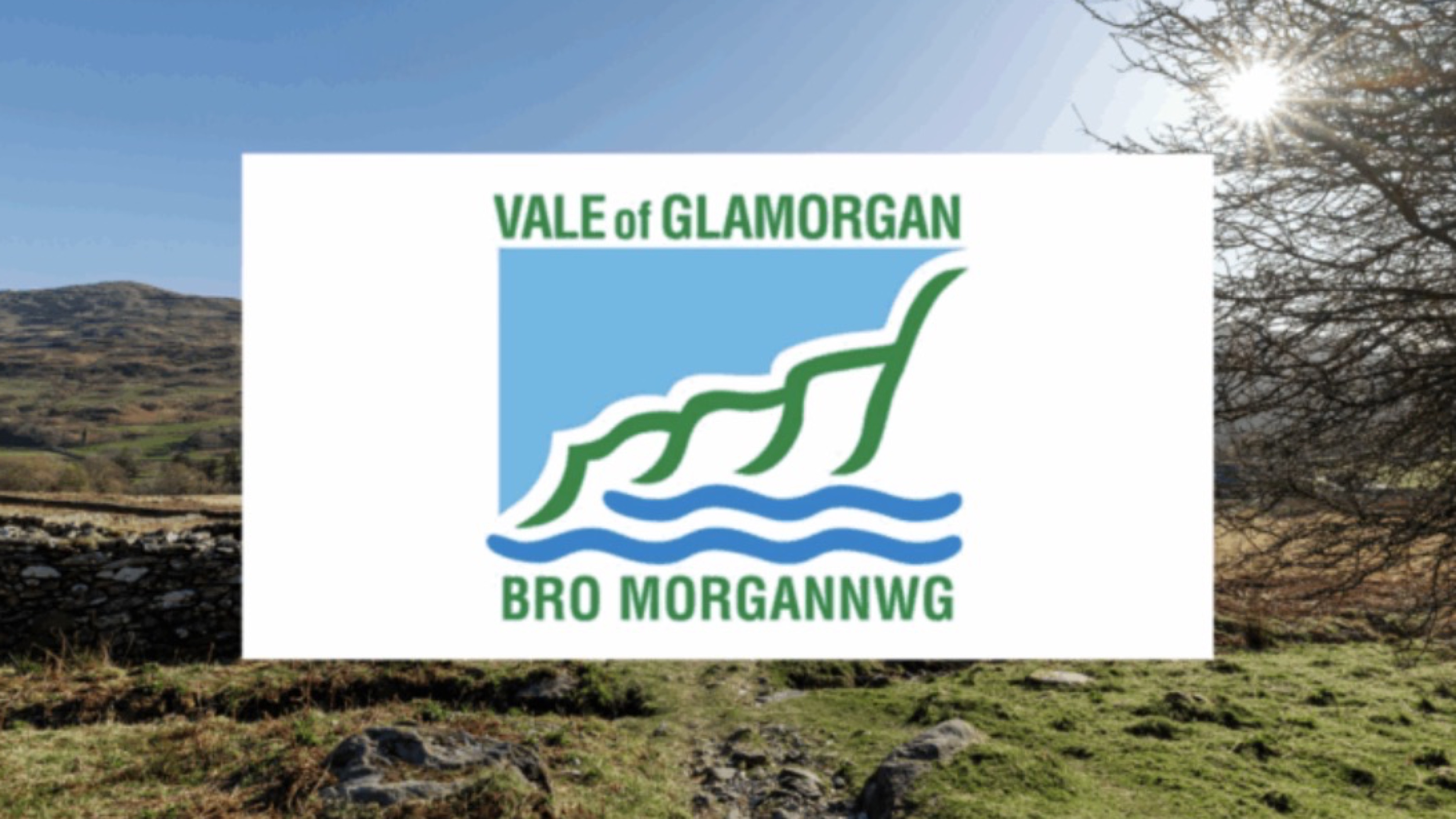 Vale of Glamorgan: Where Your Council Tax Vanishes